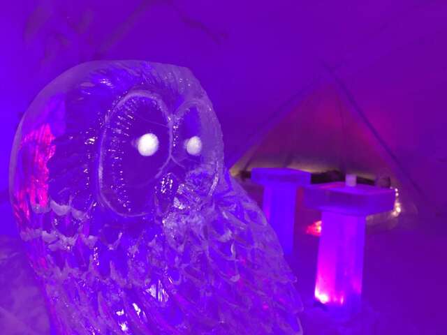 Отель SnowLounge AuroraHut Glass Igloos & Ice Hotel Салла-36