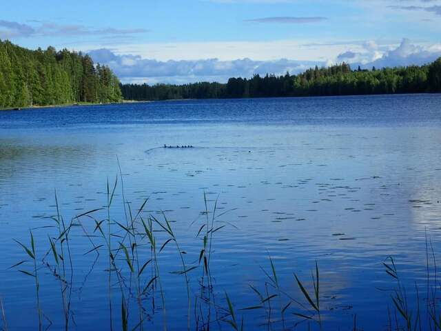 Дома для отпуска Koivurannan lomamökit Nykälä-10