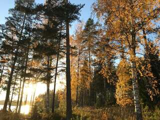 Виллы Kivivuori Тайпалсаари Вилла-2