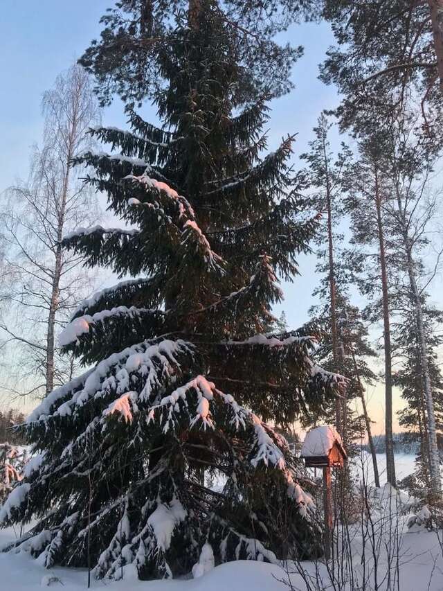 Виллы Kivivuori Тайпалсаари-8