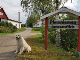 Виллы Villa Lokki Париккала Шале с 3 спальнями-25