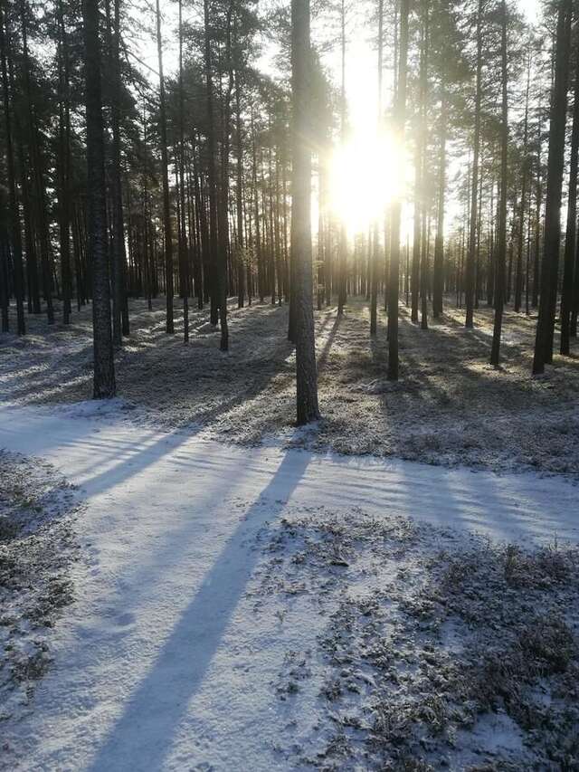 Проживание в семье Amalian Kammari Kaustinen-4