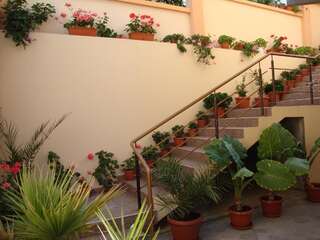 Фото Отель Hotel Orchidea город Созополь (14)