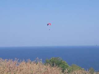 Дома для отпуска Villa Byala Grape House