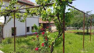 Гостевой дом Guest House Art Eco Land Ganchovets