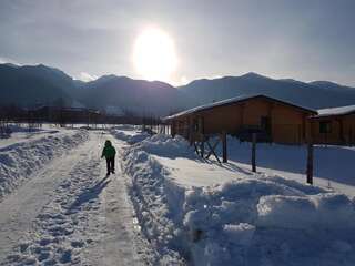 Гостевой дом Eco House Bansko Банско Вилла с 2 спальнями-15