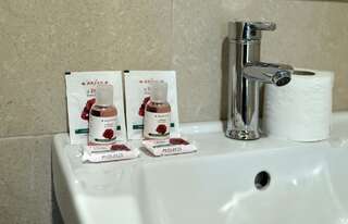 Фото Отель Hill Town Family Hotel город Пловдив (18)