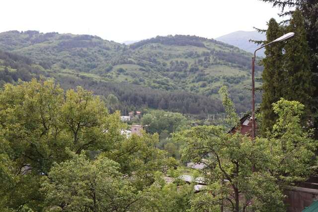 Дома для отпуска Dilijan Town Inn Дилижан-16