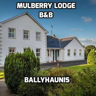 Гостевой дом Mulberry Lodge Guest House Баллихонис