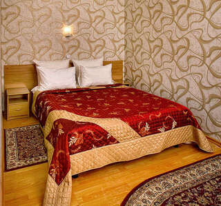 Гостиница Ёлки Калуга Улучшенный двухместный номер с 1 кроватью-1