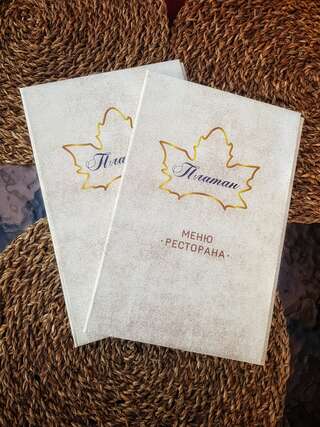 Гостиница Платан Краснодар