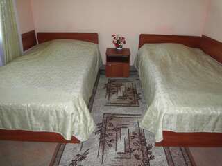 Гостиница Гостиничный комплекс Дворянское гнездо Смоленск Стандартный двухместный номер с 2 отдельными кроватями-5