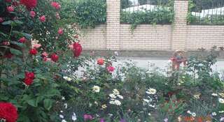 Отель Международный Коктебель