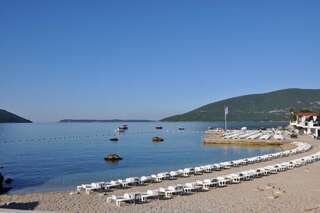 Отель Hotel Perla Херцег-Нови