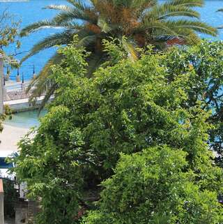 Апартаменты Solar Apartments Херцег-Нови