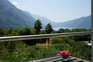 Апартаменты Forest Town Котор