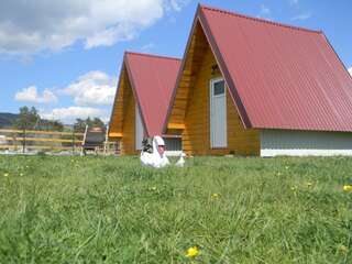 Шале Cottage Borje Жабляк