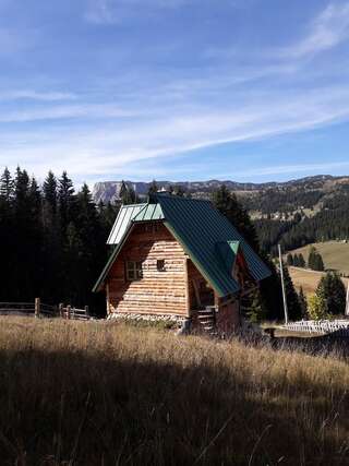 Апартаменты Mountain story apartment Жабляк