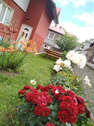 Апартаменты Apartments Bozovic Жабляк