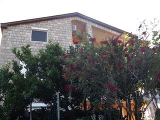 Апартаменты Raj Котор