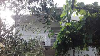 Апартаменты City apartment Novakovic Бар