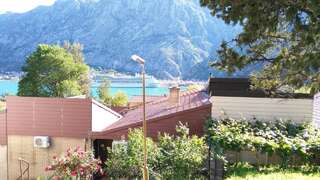 Апартаменты Sofi Котор