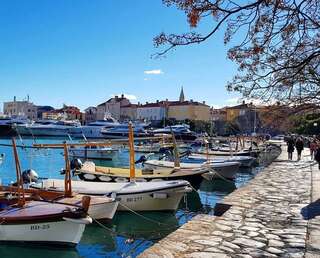 Апартаменты Spacious Apartment Erol Будва