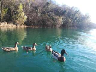 Апартаменты apartmani šofranac Подгорица