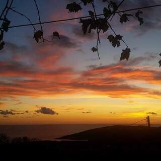 Апартаменты Aleksandra Будва