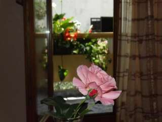 Апартаменты Villa Kunjić apartmani Будва