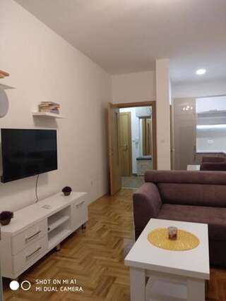 Апартаменты Apartman Cimbaljevic Тиват