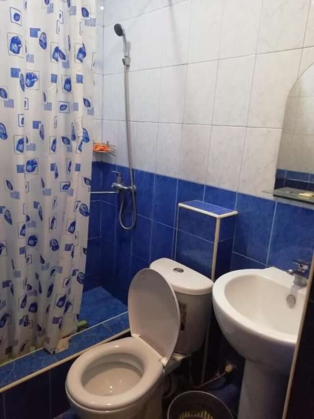 Гостевой дом Ado Guest House Пицунда-18