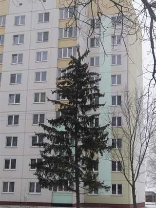 Апартаменты PaulMarie Apartments on Stroiteley Бобруйск Апартаменты-10