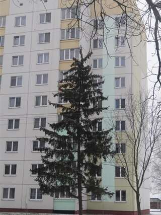 Апартаменты PaulMarie Apartments on Stroiteley Бобруйск Апартаменты-11