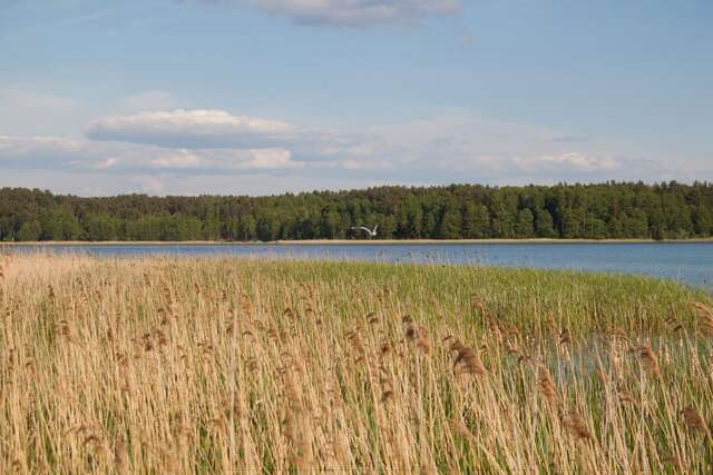 Шале Duck Lake Полоцк-18