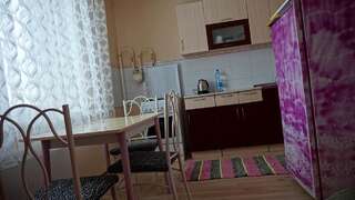Фото Апартаменты Apartments OASIS город Боровляны (11)