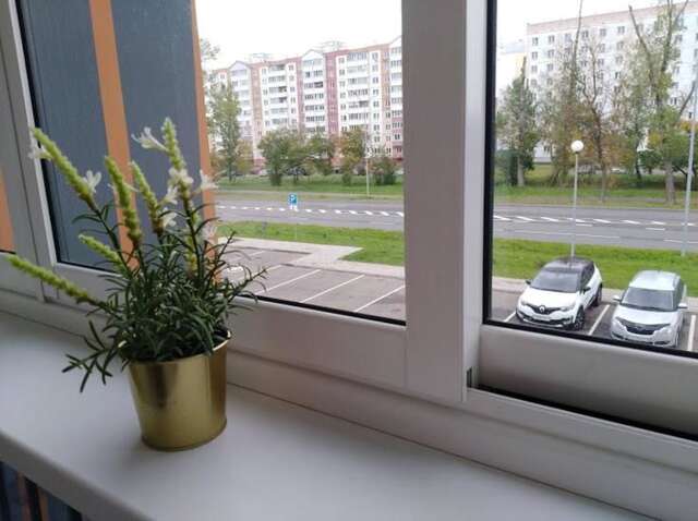 Апартаменты Уютная квартира в новом доме Боровляны-32