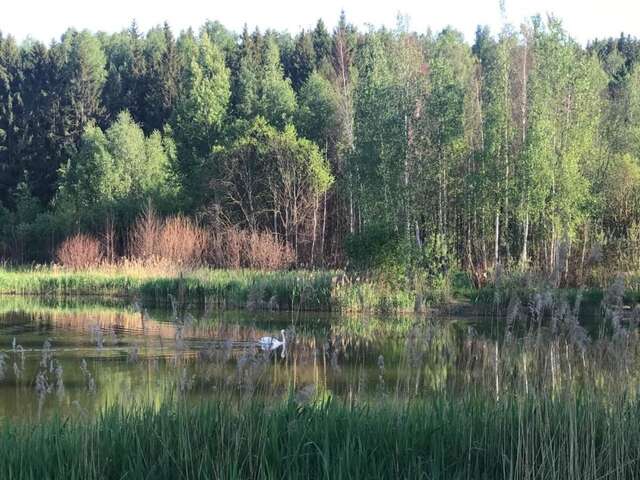 Дома для отпуска Коттедж с баней и барбекю Borovinka-17