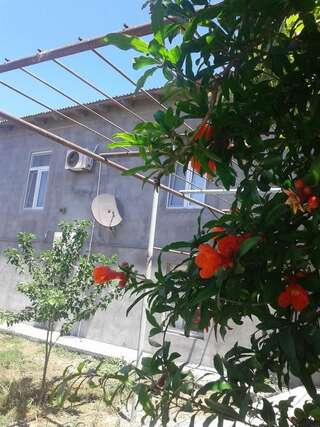 Апартаменты Rental house in village Bine Баку