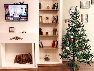 Апартаменты Lux New Year 2020! Christmas tree Николаев