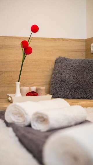 Апартаменты Mini Economy apartments in the central part of Lviv- Krekhivska 7 Львов
