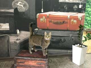 Мини-отель Sacvoyage Киев