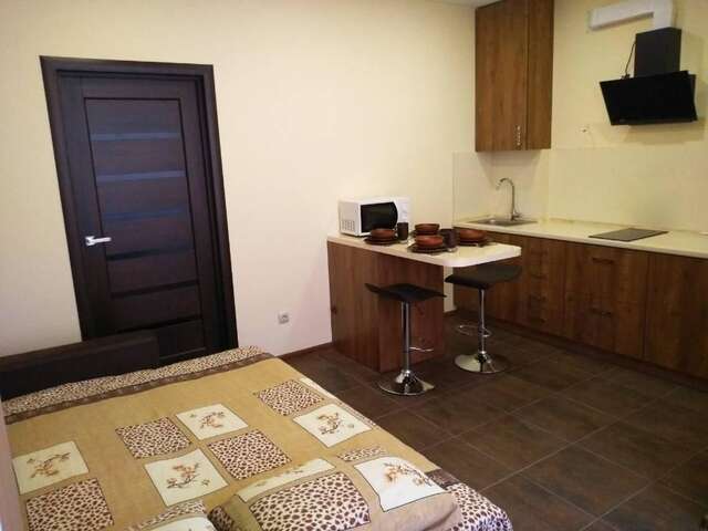 Апартаменты Apartments in Uzhgorod for you. Ужгород-30