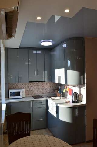 Апартаменты 1-комнатная на левом берегу Днепра Днепр