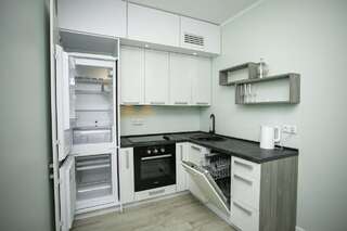 Апартаменты 212 Cozy apartment nearby wirh Kiev Central Railway Station Киев