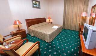 Отель Deluxe SPA-Hotel Усть-Каменогорск Стандартный двухместный номер с 1 кроватью-10