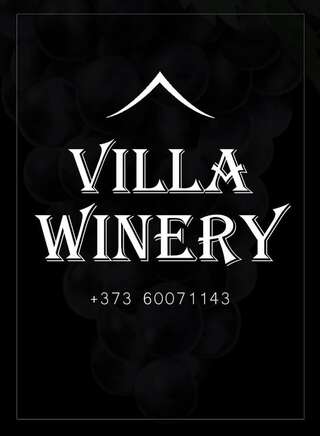 Фото  Villa Winery город Cricova (2)
