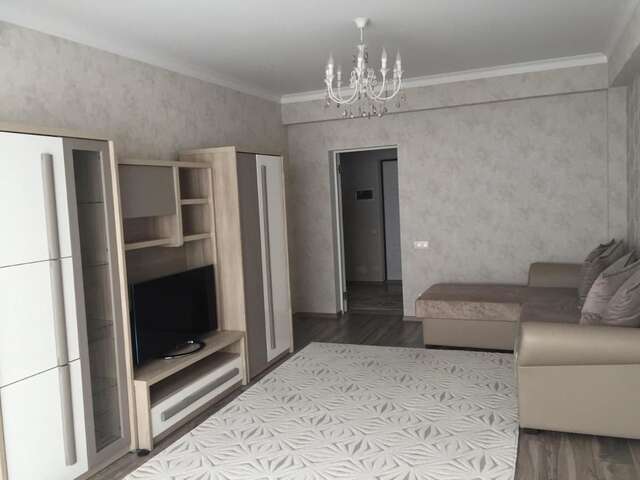 Апартаменты Center Apartment on Albisoara Street Кишинёв-5